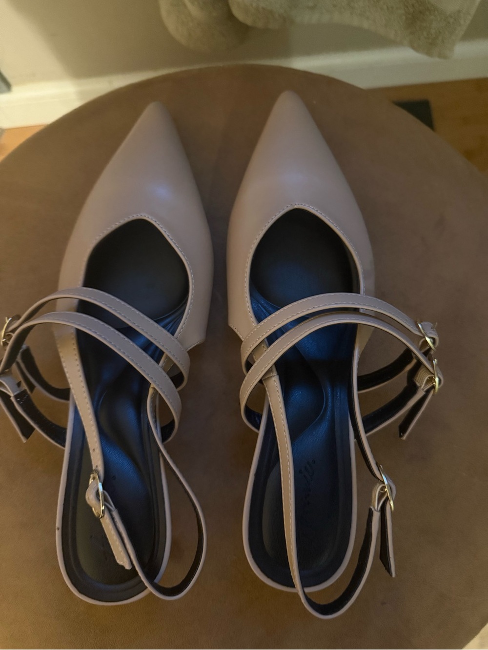 Pointed Nude Strappy Mid Heel Pumps